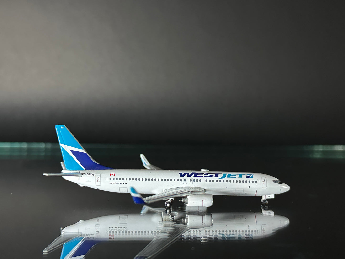 WestJet Boeing 737-800 (C-GZWS)